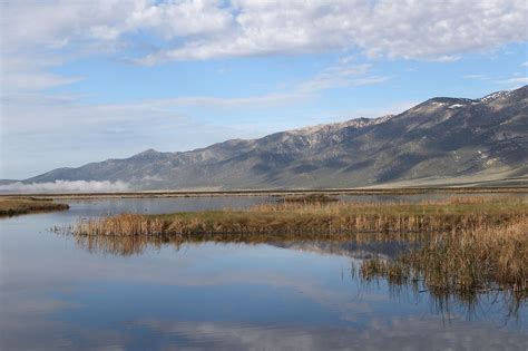Nevada .